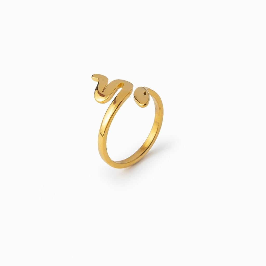 Cael Line Sculpted Ring in gold-tone, front product view